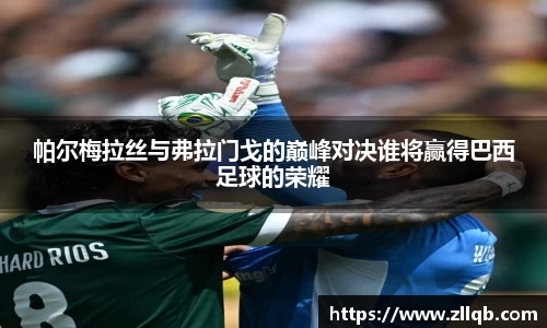 帕尔梅拉丝与弗拉门戈的巅峰对决谁将赢得巴西足球的荣耀